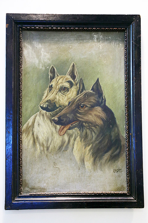 Экспозиция музея собак на международной выставке собак «Огни Прикамья - 2015»
